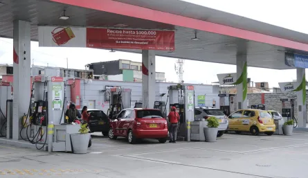 COMBUSTIBLES